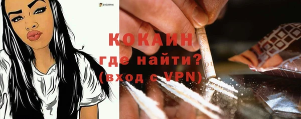 ГАЛЛЮЦИНОГЕННЫЕ ГРИБЫ Осинники