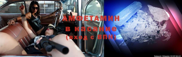 ГАЛЛЮЦИНОГЕННЫЕ ГРИБЫ Осинники