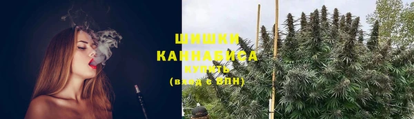 ГАЛЛЮЦИНОГЕННЫЕ ГРИБЫ Осинники