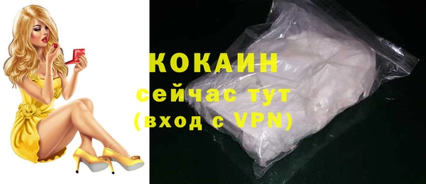 ГАЛЛЮЦИНОГЕННЫЕ ГРИБЫ Осинники