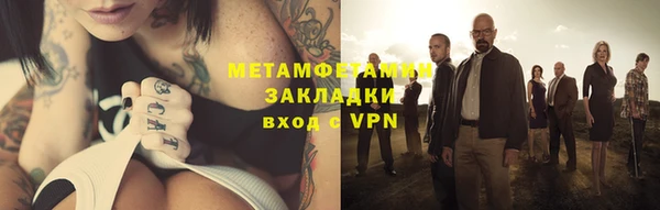 ГАЛЛЮЦИНОГЕННЫЕ ГРИБЫ Осинники