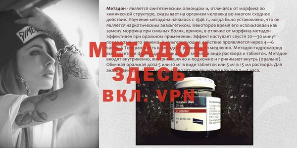 ГАЛЛЮЦИНОГЕННЫЕ ГРИБЫ Осинники