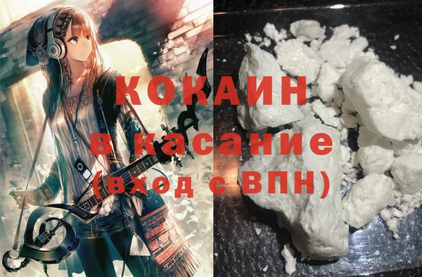 ГАЛЛЮЦИНОГЕННЫЕ ГРИБЫ Осинники