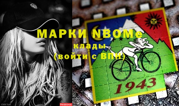 ГАЛЛЮЦИНОГЕННЫЕ ГРИБЫ Осинники