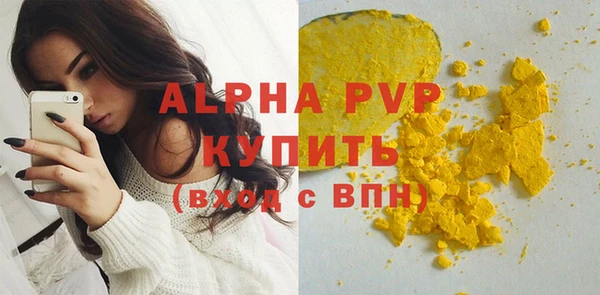 ГАЛЛЮЦИНОГЕННЫЕ ГРИБЫ Осинники