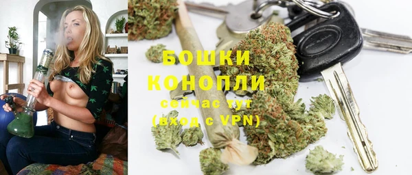 ГАЛЛЮЦИНОГЕННЫЕ ГРИБЫ Осинники