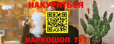 мяу мяу мука Кандалакша