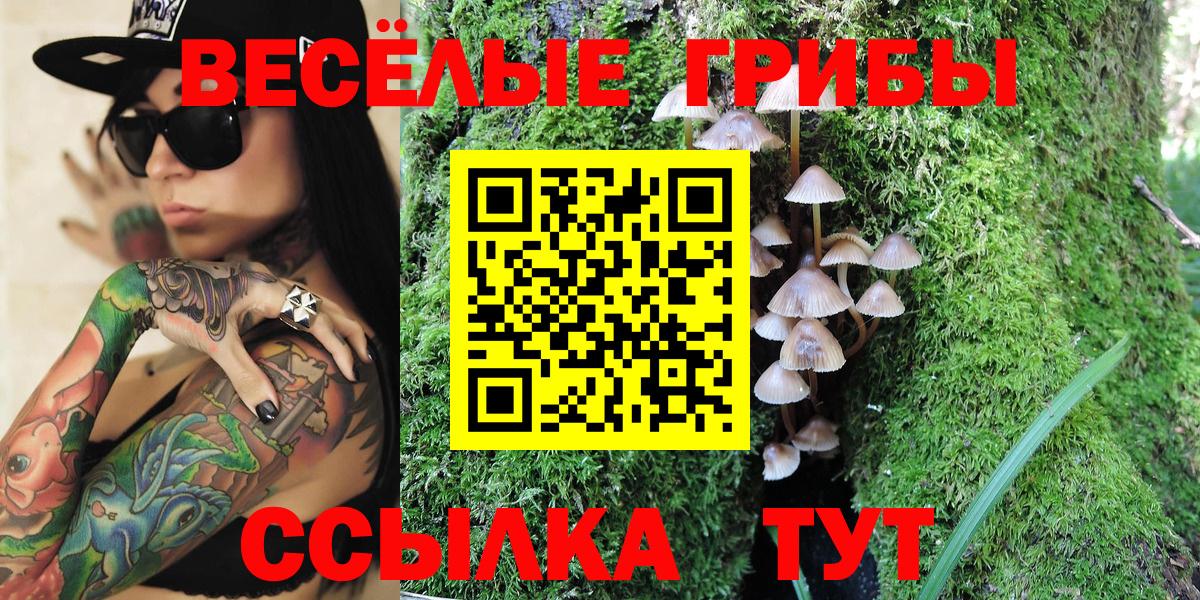 Галлюциногенные грибы Psilocybe  Галлюциногенные грибы Cubensis  Вход с VPN  Саранск 