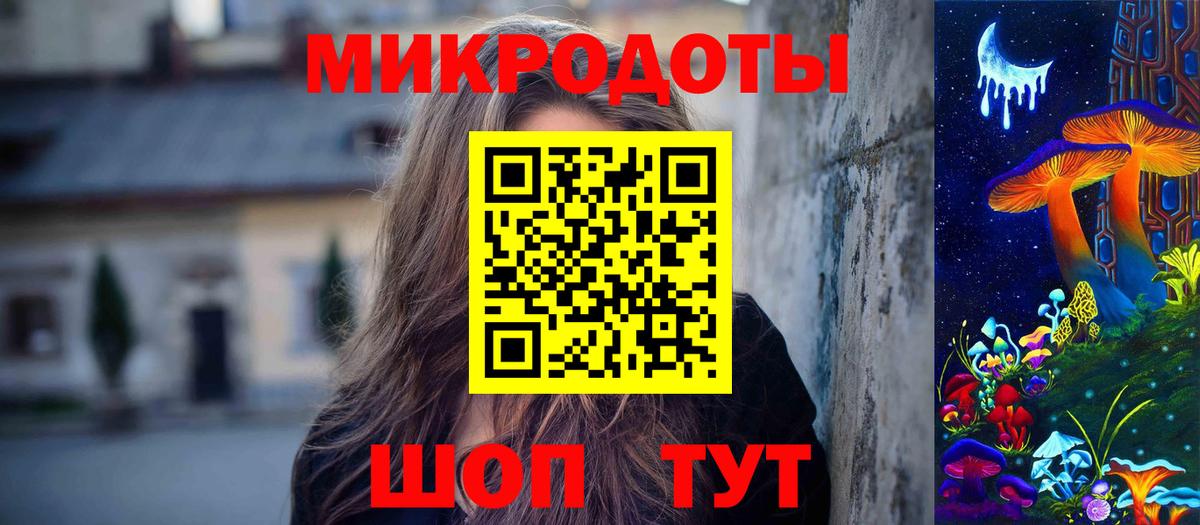 Псилоцибиновые грибы Psilocybe Саранск